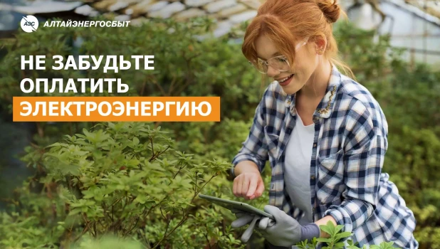 Пара минут для оплаты квитанции — и можно наслаждаться жаркими летними днями.