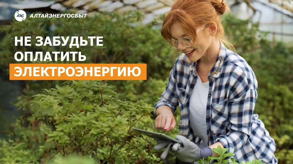 Пара минут для оплаты квитанции — и можно наслаждаться жаркими летними днями.