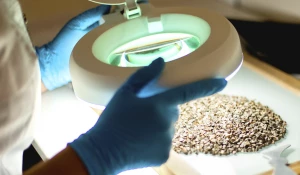 Лабораторные исследования