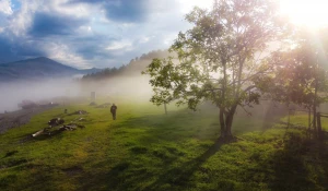 Летним вечером солнце золотит Алтайский заповедник сквозь таинственный туман. 