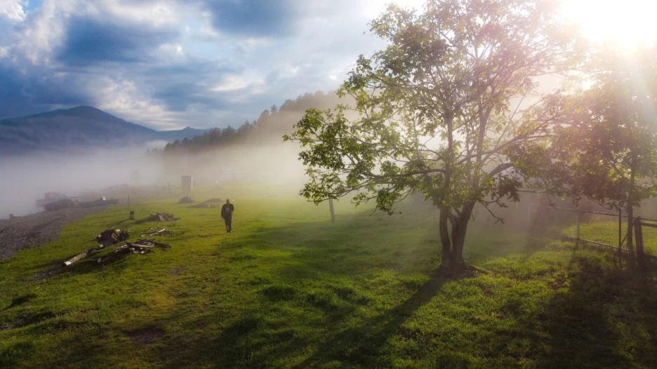 Летним вечером солнце золотит Алтайский заповедник сквозь таинственный туман. 