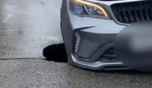 Машина провалилась в провал асфальта в центре Барнаула.