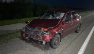 ДТП в Ребрихинском районе.