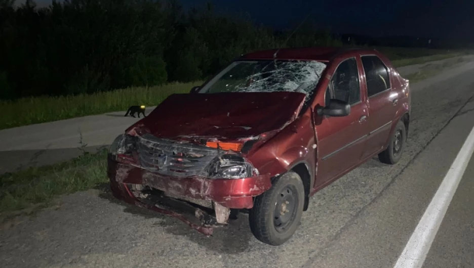 ДТП в Ребрихинском районе.