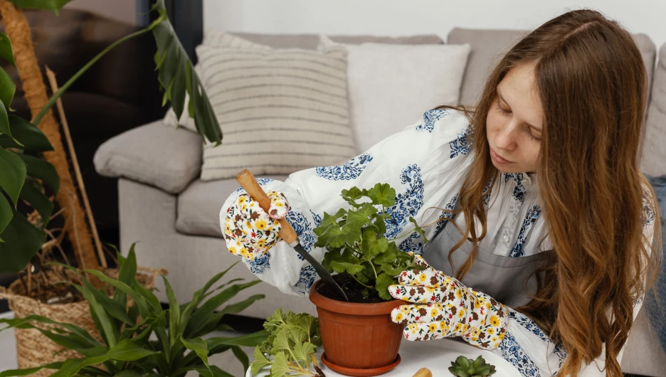 Пересадка цветов.