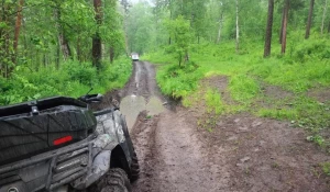 ДТП на квадроцикле.