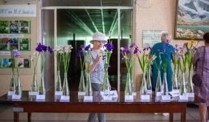 Выставка ирисов в барнауле, 2025 год.