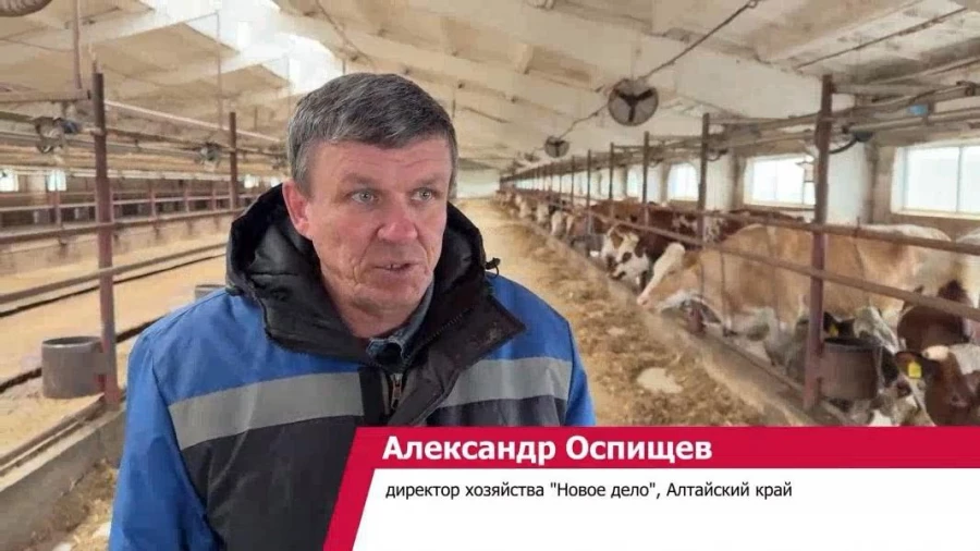 Александр Оспищев. Александр Оспищев.