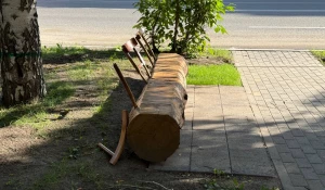 Барнаульские гопники разрушили первую эко-лавку в городе.