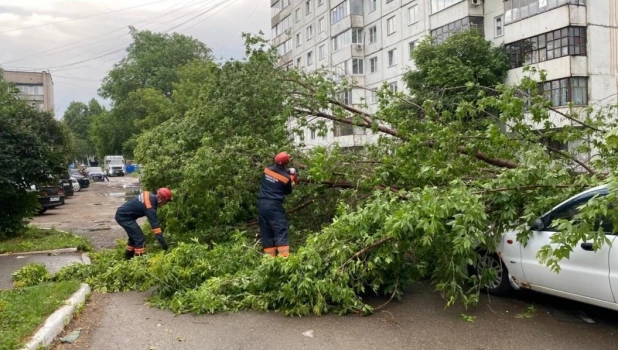 В Барнауле устраняют последствия ночного урагана.