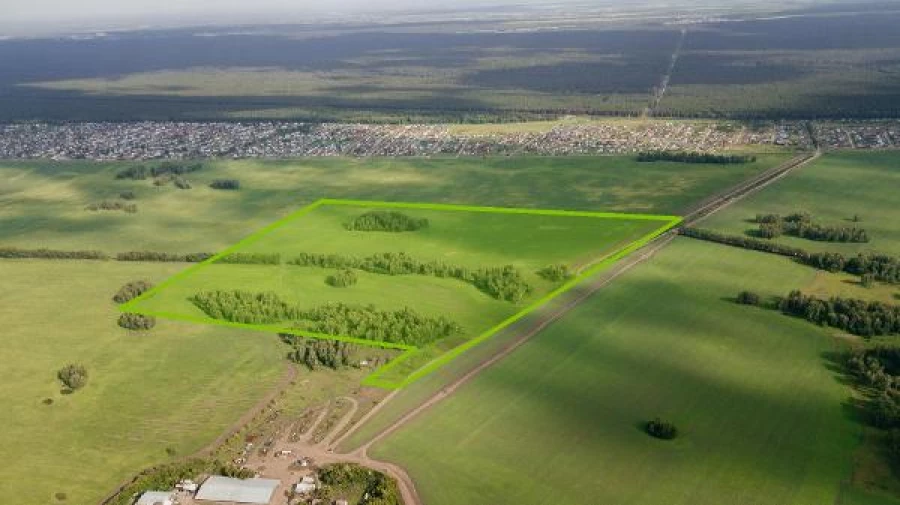 В барнаульской Власихе огромный земельный участок хотят превратить в новый жилой район. В барнаульской Власихе огромный земельный участок хотят превратить в новый жилой район.