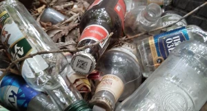 Забор с бутылками.