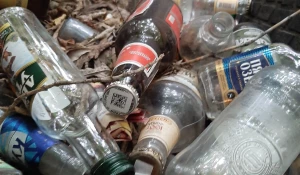 Забор с бутылками.