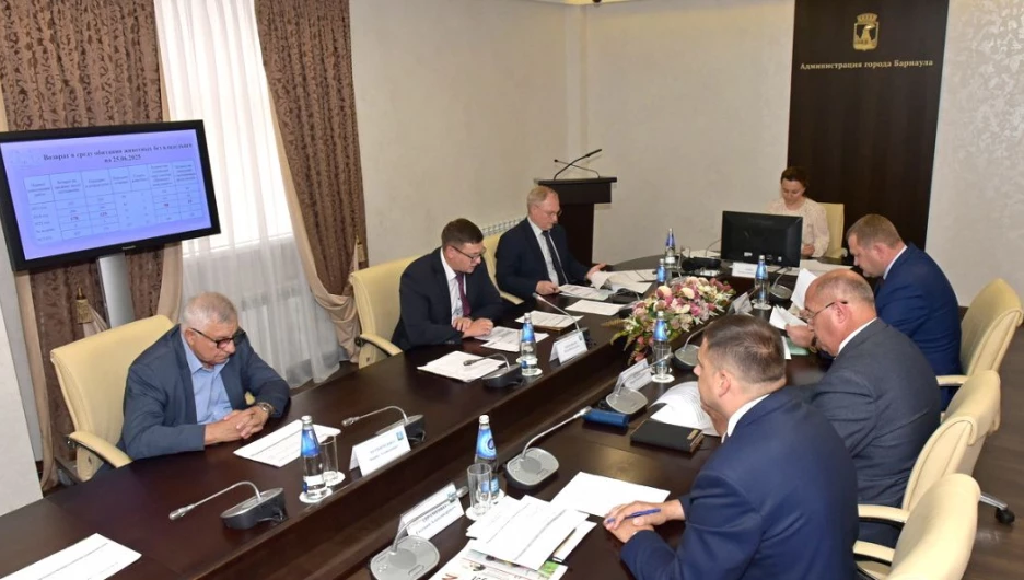 Совещание, посвящённое анализу реализуемых в Барнауле мер, направленных на снижение численности безнадзорных животных.