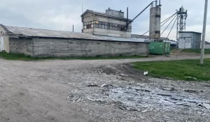 В Барнауле продают большой крупозавод.