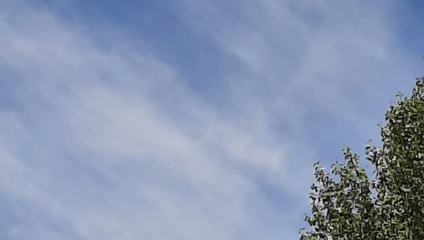 Удивительное перьевое небо показалось над Барнаулом