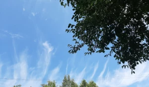 Удивительное перьевое небо показалось над Барнаулом