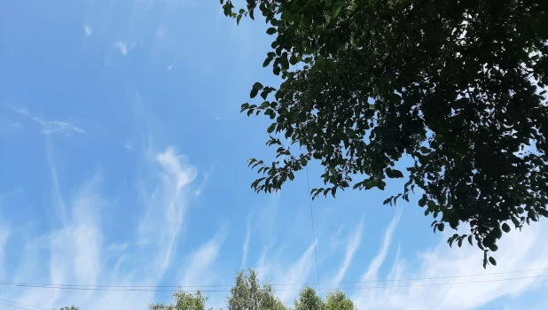 Удивительное перьевое небо показалось над Барнаулом