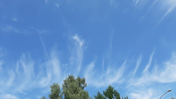 Удивительное перьевое небо показалось над Барнаулом