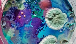 Девушки создают биопортреты, используя микробы из подмышек, пупков и ноздрей.