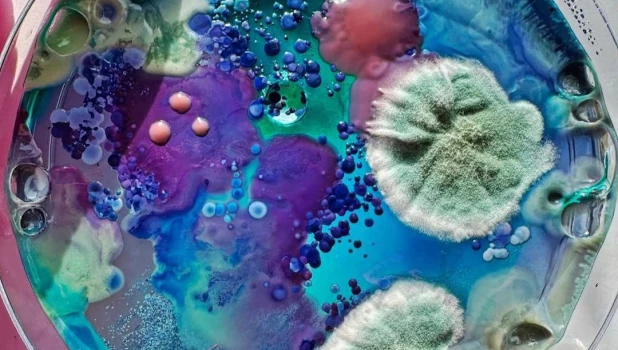 Девушки создают биопортреты, используя микробы из подмышек, пупков и ноздрей.