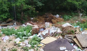 Рубцовчане пожаловались на несанкционированную свалку в городе