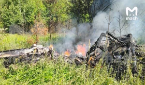 Легкомоторный самолет упал и загорелся в Подмосковье