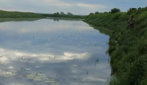 Рыбалка в Алтайском крае.