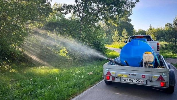 Барнаул продолжают обрабатывать от комаров