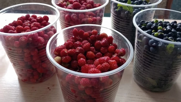  Любители спелой ягоды обнаружили вкусную находку.