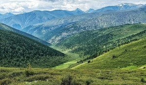 Республика Алтай празднует День Горного Алтая среди живописных вершин и зеленых долин.
