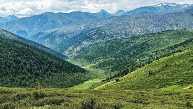 Республика Алтай празднует День Горного Алтая среди живописных вершин и зеленых долин.