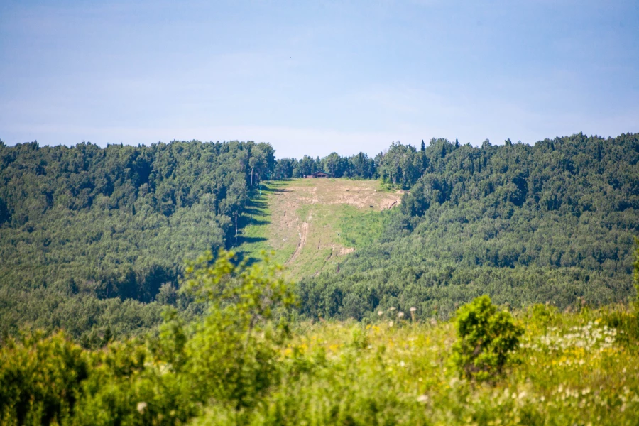 Тягун в конце июня. 