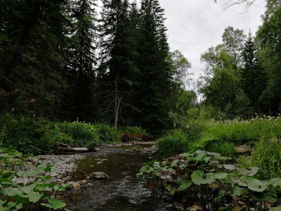 Активный отдых в Тягуне летом. 