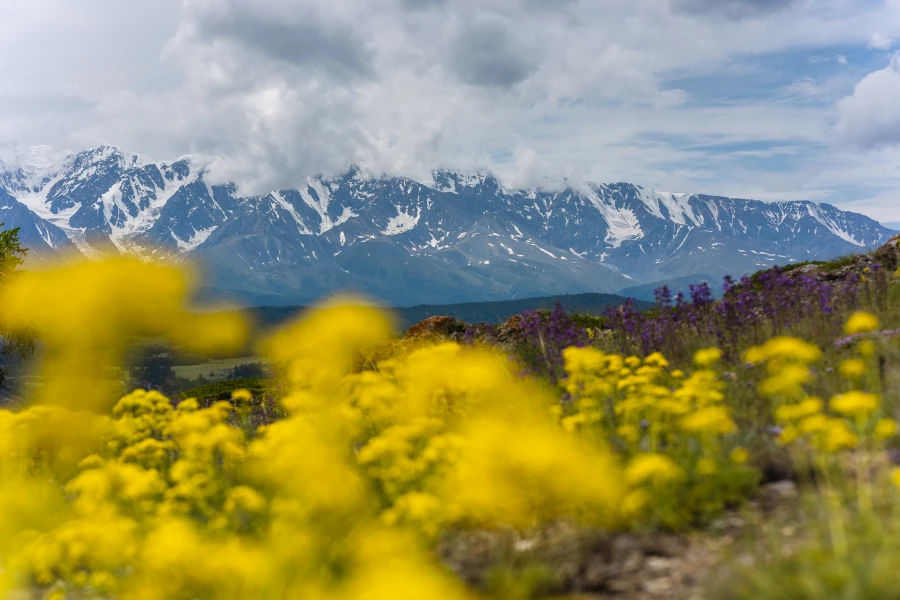 Altai Ultra Trail. Altai Ultra Trail.