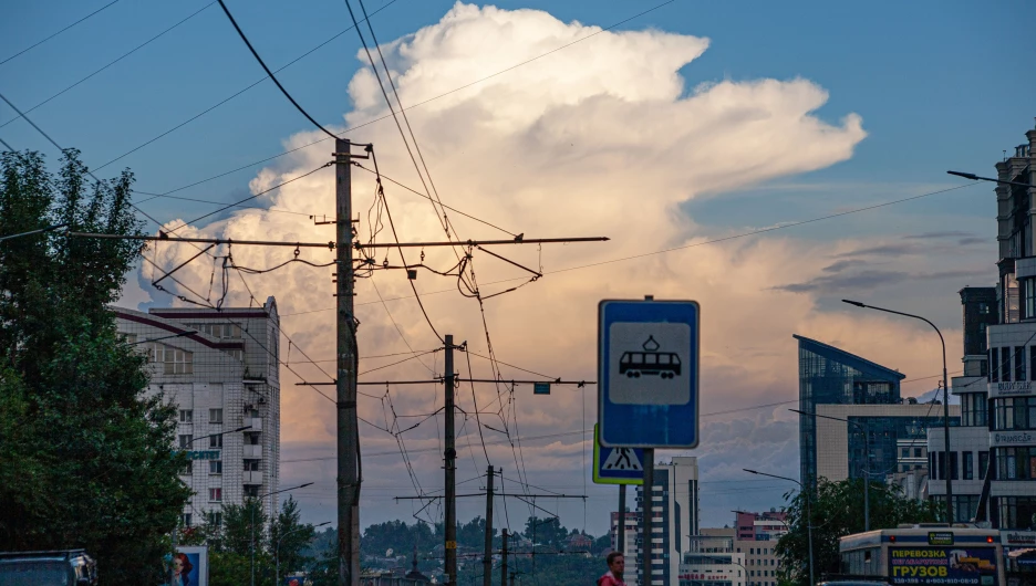 Лето в Барнауле, 2025 год.