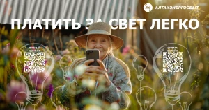 «Алтайэнергосбыт» предлагает пользоваться онлайн-сервисами для оплаты услуг.