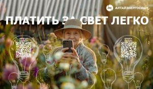«Алтайэнергосбыт» предлагает пользоваться онлайн-сервисами для оплаты услуг.