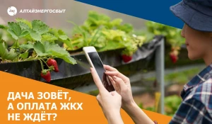 Оплата ЖК-услуг онлайн.