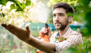 Обработка сада.