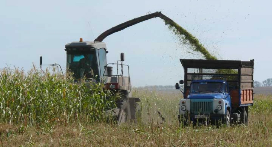 Кормозаготовка.