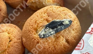 В кексах из «Светофора» в Саратове нашли резину