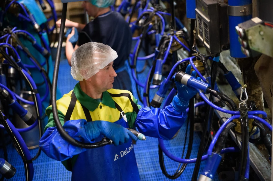 Конкурс «Лучший по профессии» среди операторов машинного доения коров. Алтайский край. 2025 год.