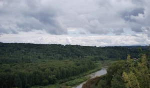 Село Ельцовка Ельцовского района Алтайского края. 2025 год. 