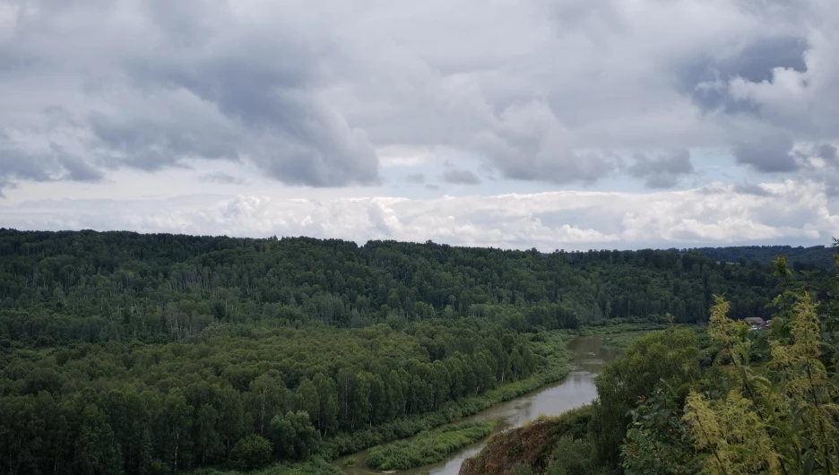 Село Ельцовка Ельцовского района Алтайского края. 2025 год. 
