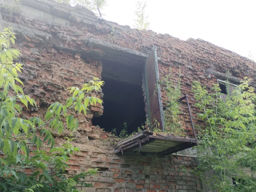 Село Ельцовка Ельцовского района Алтайского края. 2025 год. 