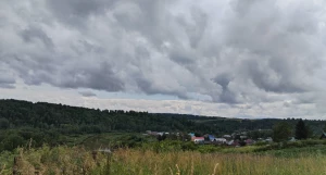 Село Ельцовка Ельцовского района Алтайского края. 2025 год. 