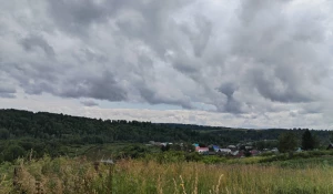 Село Ельцовка Ельцовского района Алтайского края. 2025 год. 