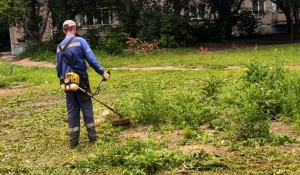 В Барнауле активно ведутся сезонные работы по покосу травы