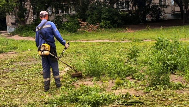 В Барнауле активно ведутся сезонные работы по покосу травы